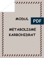 Modul Iii Metabolisme Karbohidrat