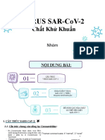 Linear COVID-19 Prevention by Slidesgo