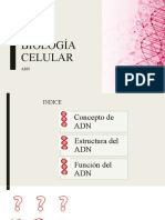 Clase Demostrativa