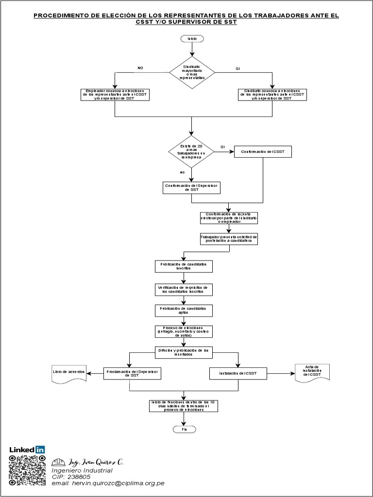 Proceso de Elecciones del CSST | PDF | Política | Gobierno