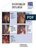 CLASIFICACION PARKLAND MAU