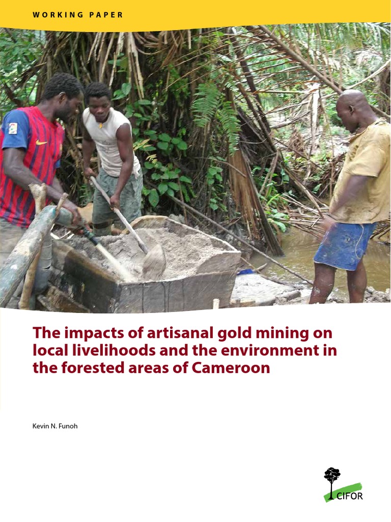 The Impacts of Artisanal Gold Mining On Local Livelihoods and The ...