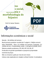 Feijão - Informação Economicas e Botanica (1512)