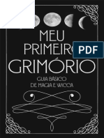 Meu Primeiro Grimório - Guia Básico de Magia e Wicca - Volume 1 - Bianca Bonatto