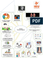 Actividad 3. Importancia de Las Teorias Fenomenológicas
