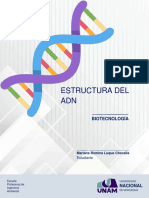 Informe - Montaje de La Estructura Del Adn en Papel y Verificacion de La Secuencia Genetica en El Blastn