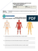 5° Ciencias Naturales Lapso 11