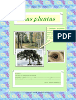 Plan Plantas Completo4