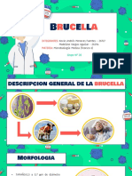 BRUCELLA - GRUPO #20 (Diapositivas)