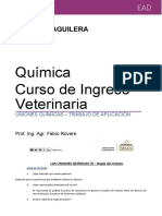 Unión química: guía de estudio sobre enlaces iónicos y covalentes