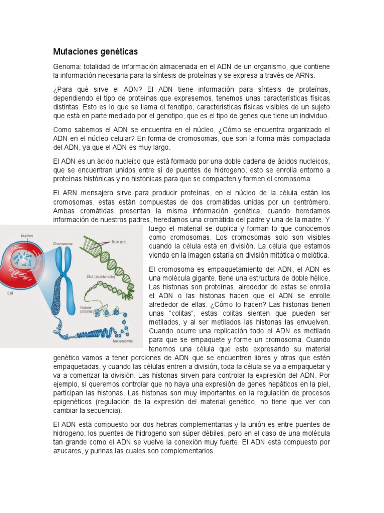 Mutaciones y Estructura del ADN | PDF | Adn | Codigo genetico