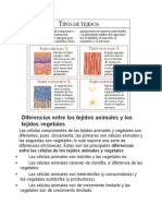 Diferencias Entre Los Tejidos Animales y Los Tejidos Vegetale1