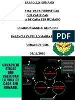 Romero Canseco Diagrama