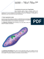 Bases neurobiológicas de la conducta humana