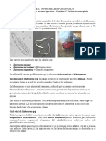 Tema 8. Enfermedades Producidas Por Spirurida-Enoplida y Acantocephala