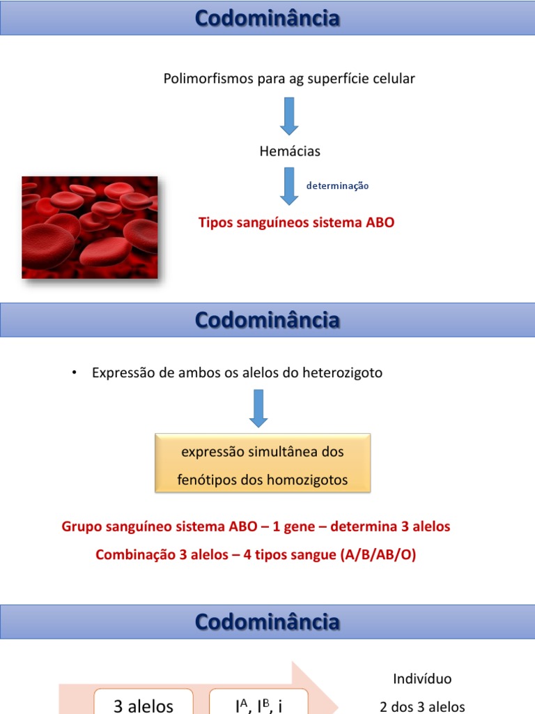 Codominancia | PDF | Dominância (genética) | Alelo