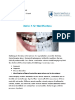 Dental X-Ray Identifications: Prepared By: Houssam Ali Submitted To: DR - Nayer El Saad