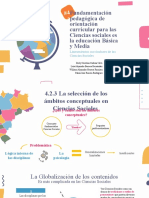 Lineamientos #4.2 - Selección de Ámbitos Conceptuales