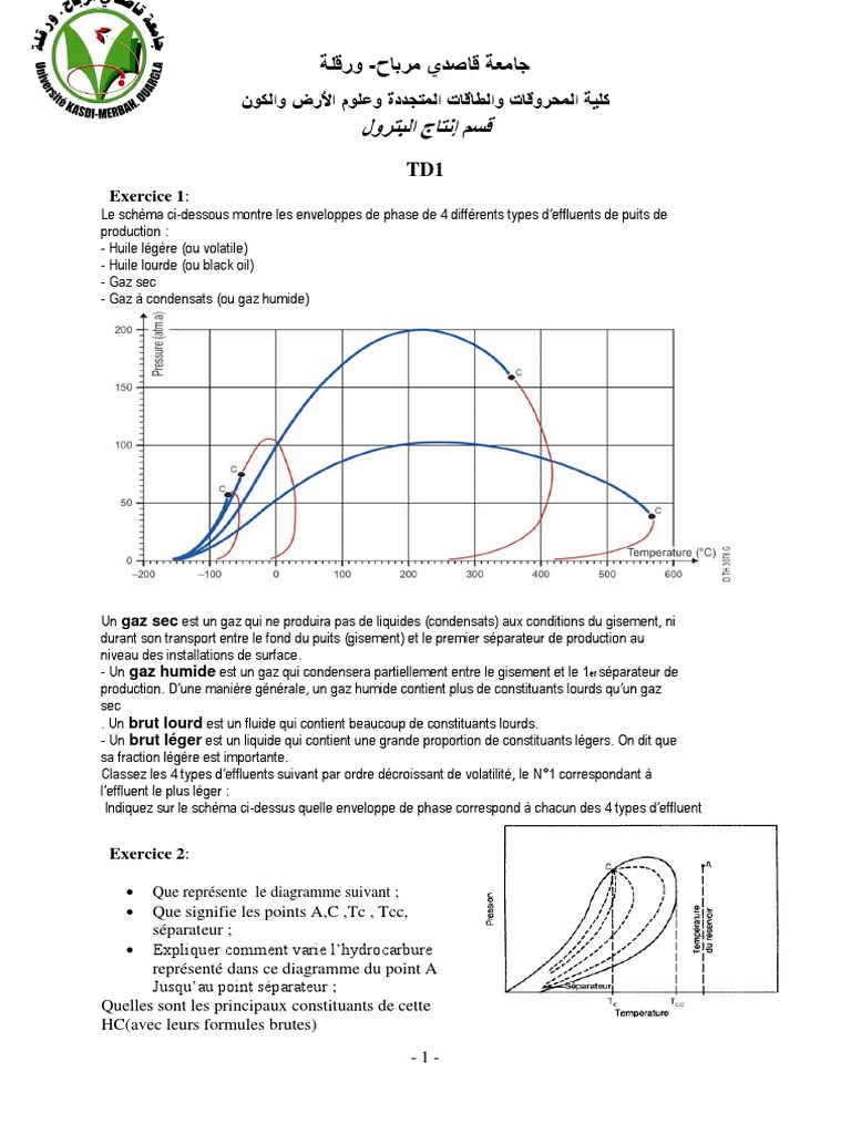 Comment Representer Sur Un Schema Des Gisement D hydrocarbure TDN°1 | PDF