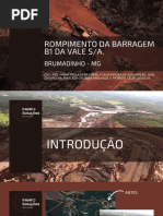 ACIDENTE DE BRUMADINHO