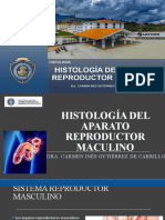 Histologia Aparato Reproductor Masculino (1)