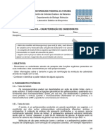 Caracterização de Carboidratos com Testes de Molisch, Iodo, Benedict e Seliwanoff