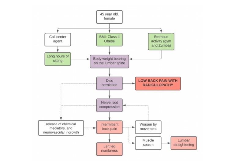 Back Pain Concept Map