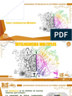 1.1 Inteligencias Multiples S-D 20