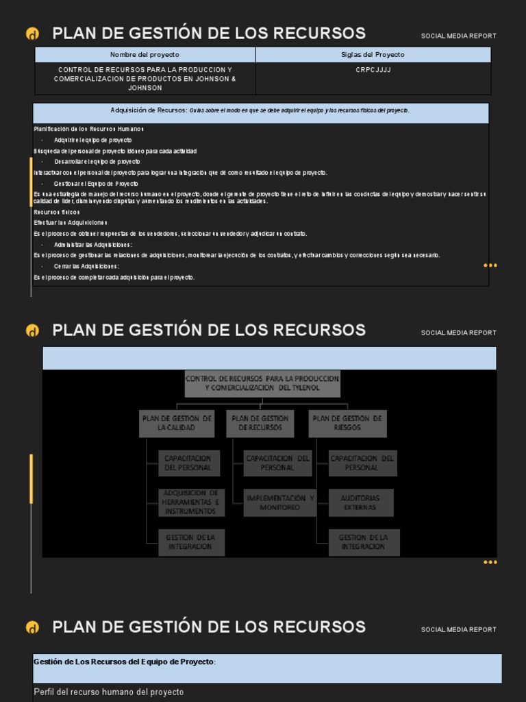 Plan de Recursos | PDF | Gestión de recursos humanos | Business