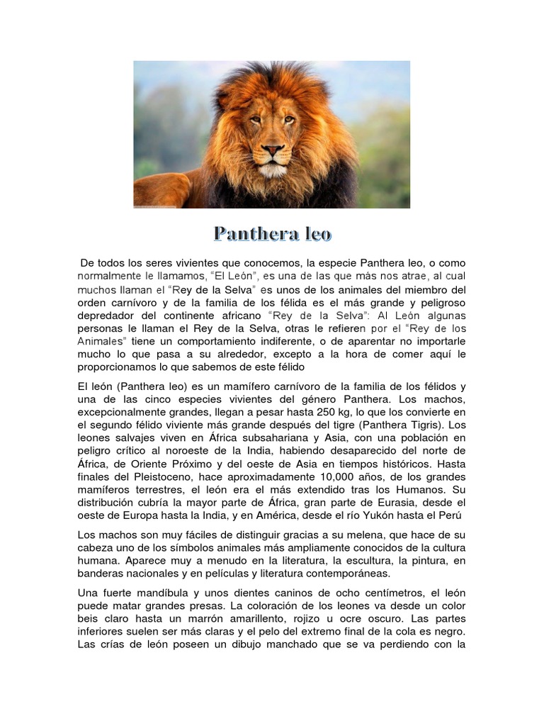 Texto Expositivo | PDF | León | Felidae