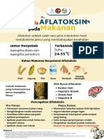 AFLATOKSIN