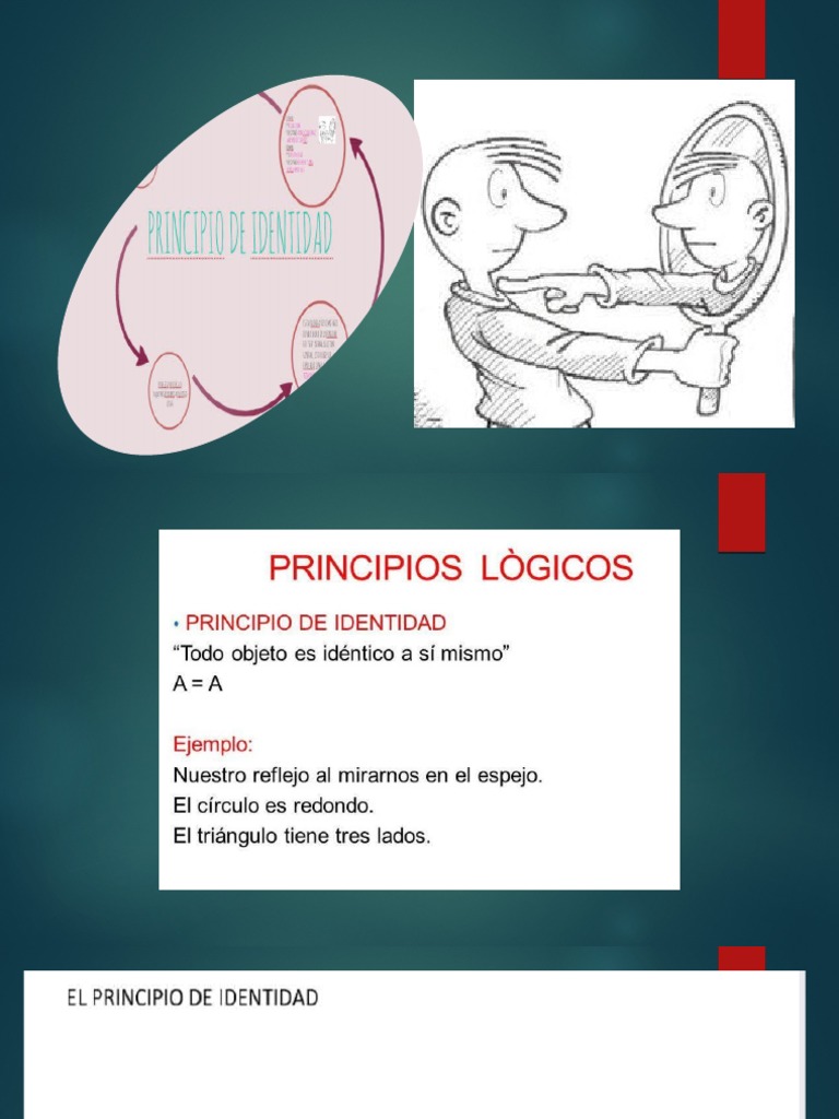 Principio de Identidad PDF