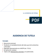 315_33_audiencia_de_tutela