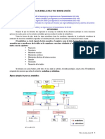 Objetivo 3 Resumen ilustrado (fotosintesis)