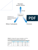 CH Metabolism o