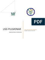 USG Pulmonar