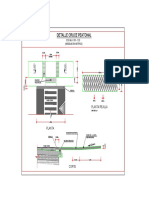 Cruce Peatonal