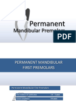 Permanent Mandibular Premolars