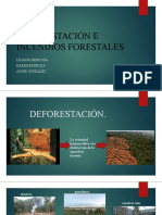 Deforestación e Incendios Forestales