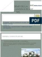 Informe de La Empresa Andina Plast Srl