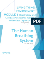 The Human Breathing System