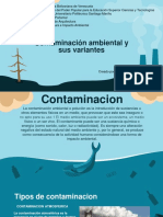 Contaminacion ambiental