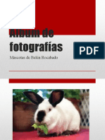 Álbum de Fotografías