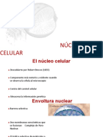 Nucleo