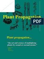 Plant Propagation Methods Guide