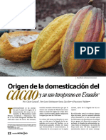 Origen de La Domesticacion Del Cacao y S