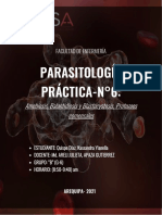 P6-Amebiosis, Balantidiosis y Blastocystosis, Protozoos Comensales