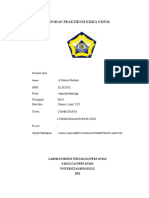 Laporan Praktikum Kimia 2 - A Fahrezi Pardede - E1J020101