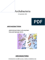 Archabacteria-13 September 2021