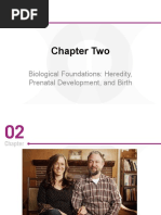 Chapter Two: Biological Foundations: Heredity, Prenatal Development, and Birth